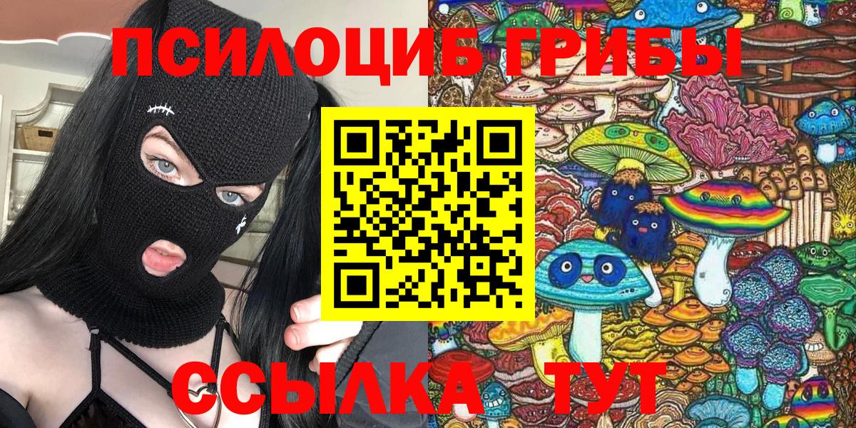Псилоцибиновые грибы GOLDEN TEACHER  Вход с VPN  Елабуга  Псилоцибиновые грибы прущие грибы 