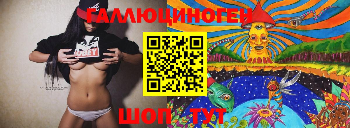 Псилоцибиновые грибы Cubensis Елабуга